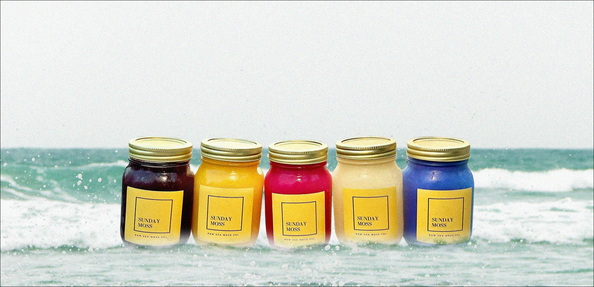 Five colourful Sunday Moss raw sea moss gel jars lined up on a tropical beach with ocean waves